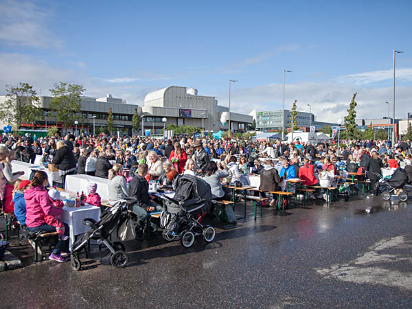 Hyvink&auml;&auml;n 100-vuotisjuhla